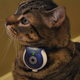 Illustration for article titled Uncle Milton Pets Eye View Camera Lightning Review